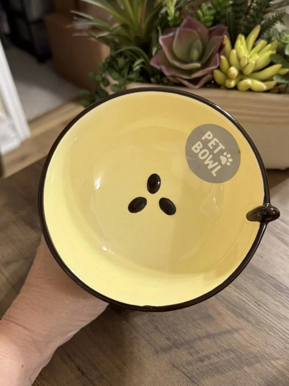ECCOLO Purr-spresso Martini Elevated Cat Bowl